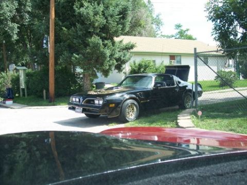 1972 Ford Ranchero - A black 1979 Pontiac Trans Am with gold trim and a prominent hood decal is parked in a residential driveway.
