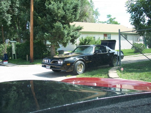 Black 1979 Pontiac Trans Am with gold accents and hood decal