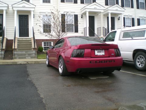 1995 Ford Probe - The Cobra