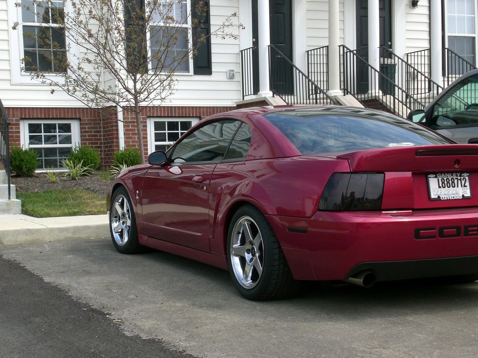 Red Mustang Cobra coupe, driver-side rear angle with smoked taillights and chrome wheels, lowered
