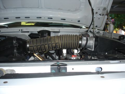 1996 Ford Bronco - Engine bay components are visible under the hood of a white vehicle.
