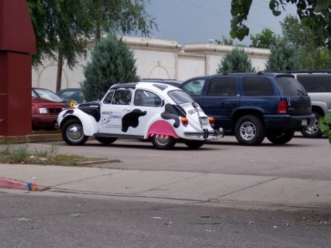 1972 Ford Ranchero - A custom-painted Volkswagen Beetle, designed to look like a cow, is parked in a lot next to other vehicles.