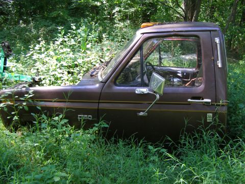 1984 Ford Bronco - Abandoned 1980s Ford F-150 truck cab sits in tall grass and weeds.