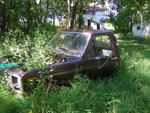 1984 Ford Bronco - This truck cab sits abandoned in a grassy yard, surrounded by trees and vegetation.