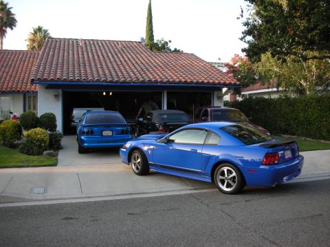 1998 Ford Crown Victoria - Two blue Ford Mustangs parked in a driveway in front of a Spanish-style tile-roofed house with more cars in the garage.