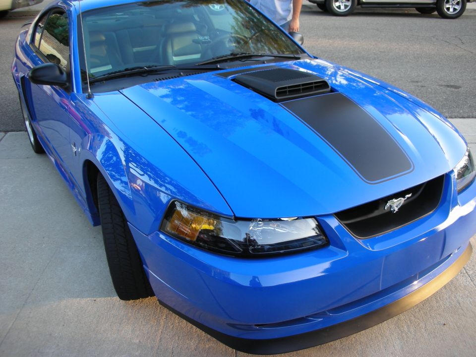 Blue Ford Mustang with black hood scoop decal and running-horse badge