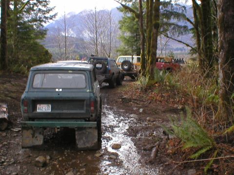 1978 Ford Bronco - Several off-road vehicles navigate a wet, wooded trail with mountains in the background.