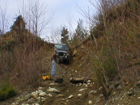 1978 Ford Bronco - Off-road vehicle navigating a challenging dirt path surrounded by dense vegetation.
