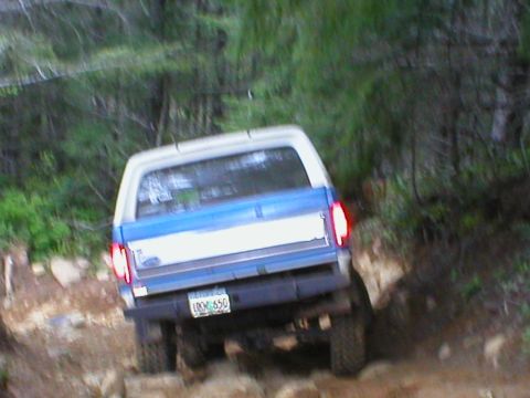 1978 Ford Bronco - A blue and white pickup truck navigates a rough, wooded terrain from a rear perspective.