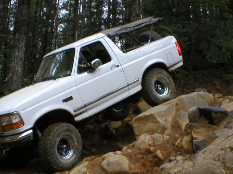 1978 Ford Bronco - This SUV is navigating a challenging rocky terrain on a wooded path.