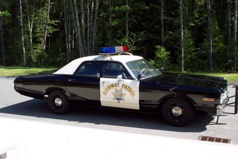 1991 Ford LTD Crown Victoria - Side view of a black-and-white Highway Patrol sedan with chrome push bar, star door decal, and roof light bar against a wooded backdrop.