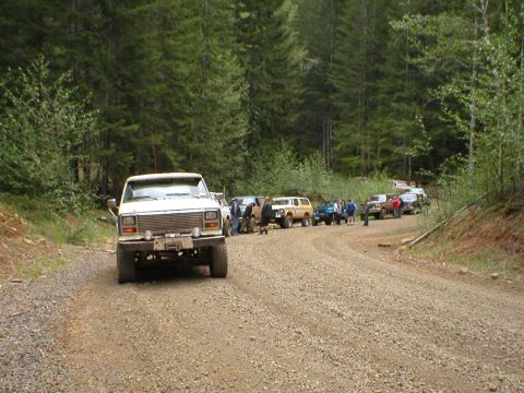 1978 Ford Bronco - A convoy of SUVs, led by a white 1978 Ford Bronco, travels down a wooded dirt road.