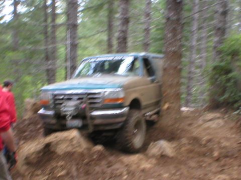 1978 Ford Bronco - This Ford Bronco is navigating a rocky, wooded trail, showing its off-road capabilities.