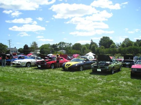 1984 Pontiac Fiero - A collection of Pontiac Fieros and other vehicles are displayed on a grassy field on a sunny day.