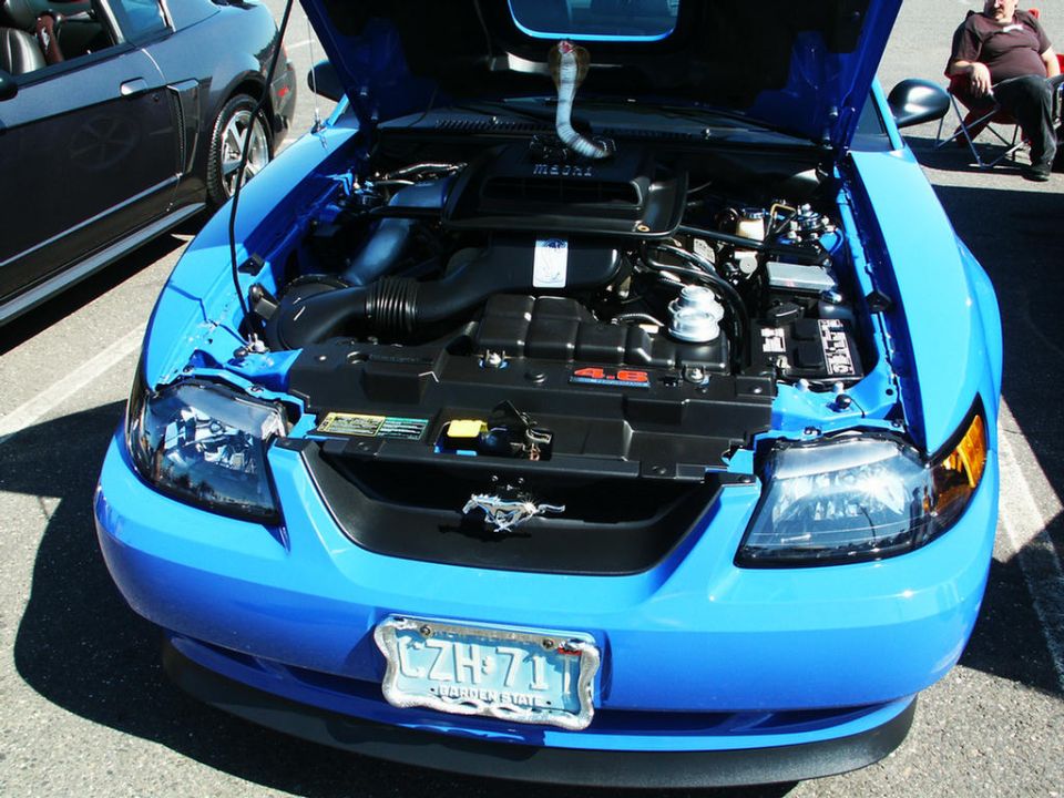 Blue 2001 Ford Mustang front view, hood open, engine exposed, license plate CZH-711