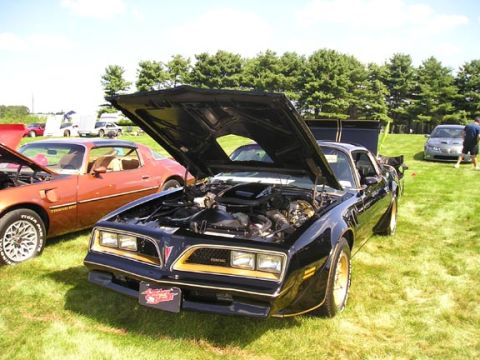 1984 Pontiac Fiero - Two Pontiac Firebirds are displayed with hoods open on a grassy field under a clear sky.