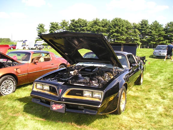 Black 1981 Pontiac Firebird Trans Am with hood open, gold trim, gold wheels, parked on grass