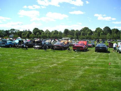1984 Pontiac Fiero - A large gathering of vehicles is displayed on a wide expanse of green grass, with trees and a clear sky in the background.