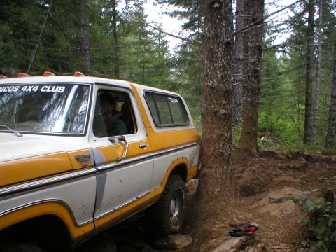 1978 Ford Bronco - A 1978 Ford Bronco navigates a wooded trail, its front quarter visible as it maneuvers near a large tree.