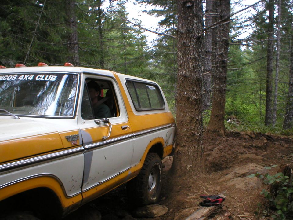 White and yellow 1978 Ford Bronco off-roading, angled from the front quarter, close to a tree