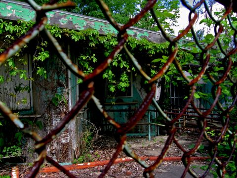 1997 Ford Probe - An overgrown, abandoned building is viewed through a rusty chain-link fence.