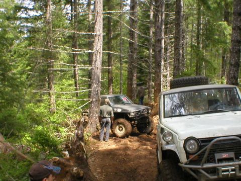 1978 Ford Bronco - Off-road vehicles navigate a wooded trail, with one vehicle appearing to be stuck.