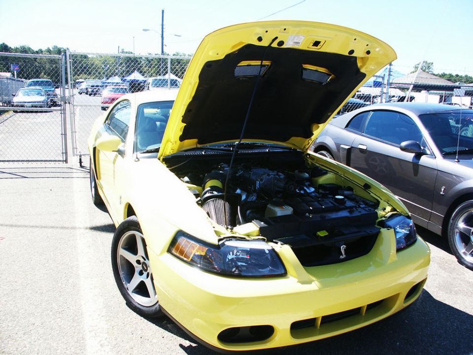 Yellow 2001 Ford Mustang with hood open, showing engine. Another Mustang is parked to the right