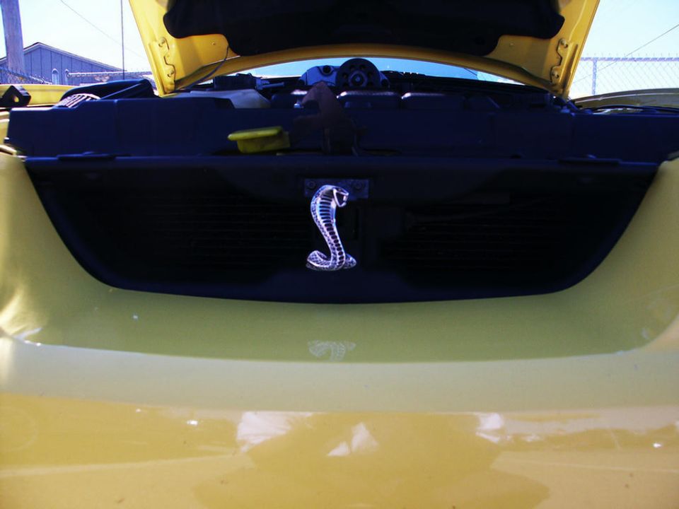 Yellow car grille with black mesh and a chrome cobra emblem; hood is open