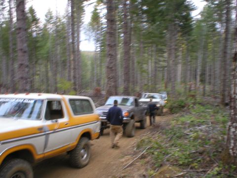 1978 Ford Bronco - A convoy of off-road vehicles, including a white and yellow Bronco, navigates a wooded trail.