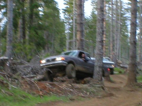 1978 Ford Bronco - Two pickup trucks navigate a wooded trail, one is in the foreground.
