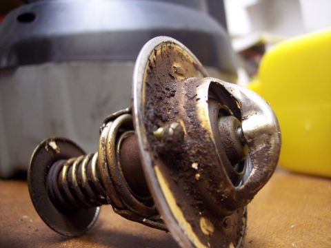 1995 Ford Probe - A used thermostat, covered in deposits, rests on a wooden surface with blurred background elements.