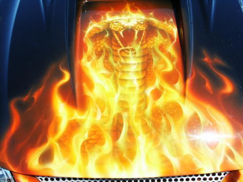 2001 Mercury Grand Marquis - Custom airbrush art of a cobra engulfed in flames adorns the hood of a vehicle.