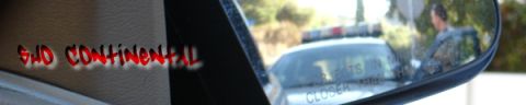 1993 Ford Taurus - Reflection of a police car and its occupant in the side mirror of another vehicle.