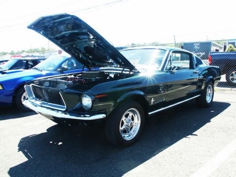 2001 Mercury Grand Marquis - A classic Mustang is displayed with its hood open at an outdoor event.