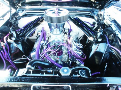 2001 Mercury Grand Marquis - Customized engine bay with a prominent air filter and vibrant purple wiring and hoses.