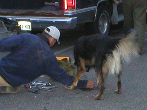 1978 Ford Bronco - A man and his dog are near the rear of a dark-colored truck, with tools scattered on the ground.