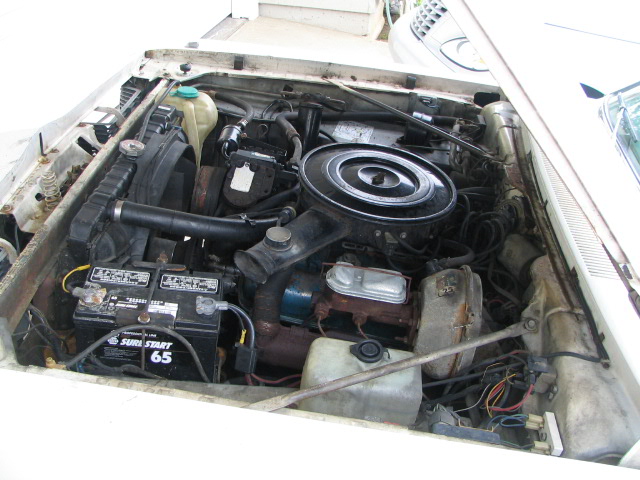 Engine bay with battery, air cleaner, and radiator hoses visible