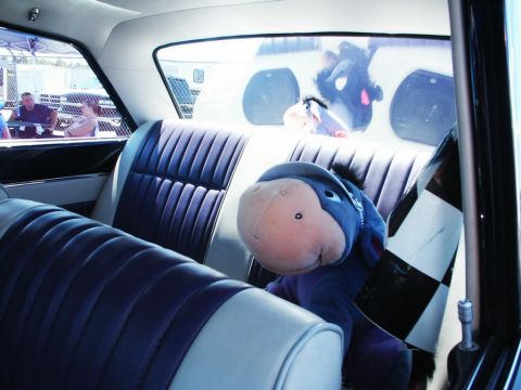 2001 Mercury Grand Marquis - The interior of a vintage car features plush Eeyore toys and a checkered flag, with people visible outside through the windows.