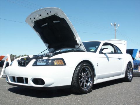 2001 Mercury Grand Marquis - A white Ford Mustang is displayed with its hood open at an outdoor car show.