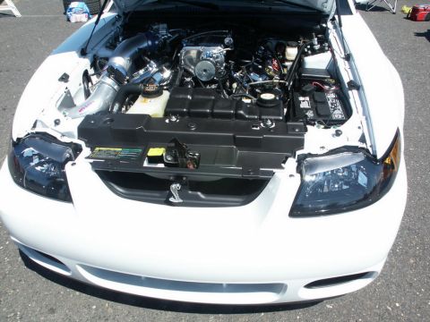 2001 Mercury Grand Marquis - The engine bay of a white Ford Mustang Cobra is displayed, a prominent chrome intake system and black engine covers.