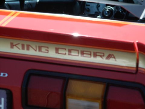 2001 Mercury Grand Marquis - Close-up of a red vehicle's side, showing "KING COBRA" lettering and racing stripes.