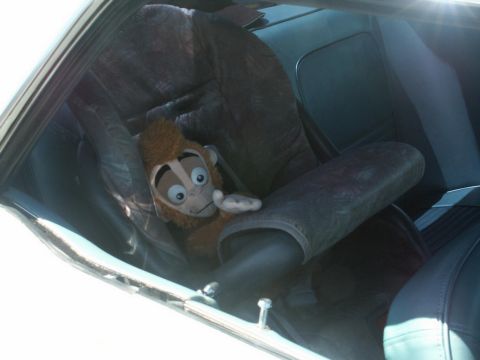 2001 Mercury Grand Marquis - A stuffed monkey sits in the back seat of a car, appearing to be buckled in.