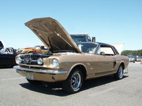 2001 Mercury Grand Marquis - A gold 1965 Ford Mustang coupe is displayed with its hood open at a car show, revealing the engine bay.