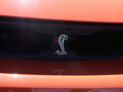 2001 Mercury Grand Marquis - A close-up shows a cobra emblem on the black grille of an orange vehicle, with a reflection of the emblem visible below.