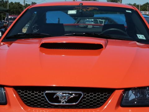 2001 Mercury Grand Marquis - Front view of an orange Ford Mustang, identified by its grille emblem and hood scoop, at a car show.