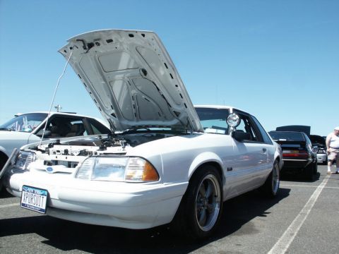 2001 Mercury Grand Marquis - A white Ford Mustang is displayed with its hood open at a car show, parked next to other vehicles.