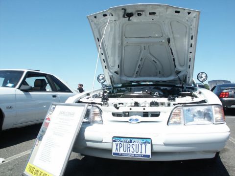 2001 Mercury Grand Marquis - A white Ford Crown Victoria Police Interceptor is displayed with its hood open, next to another white vehicle.