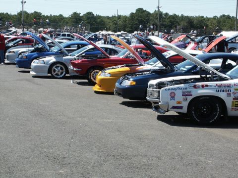 2001 Mercury Grand Marquis - Multiple cars are lined up with their hoods open at a car show, displaying their engines.