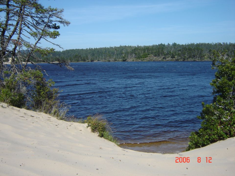 Water and sand dunes with trees under a blue sky