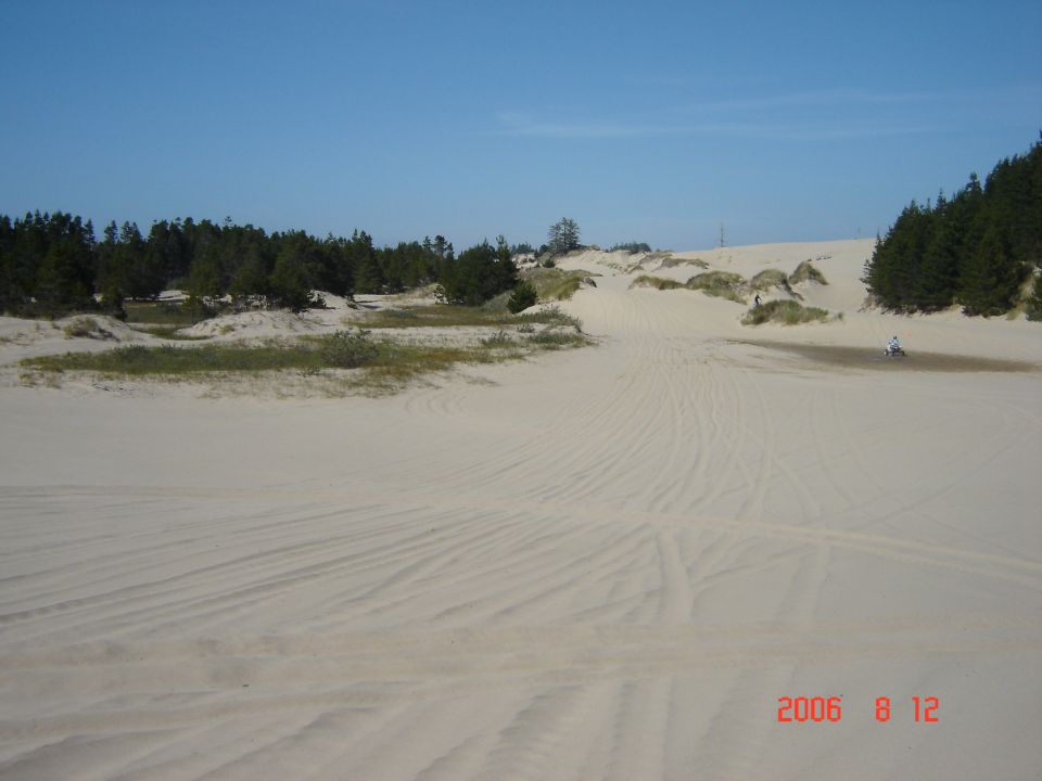 Sand dunes with tire tracks, trees on the left and right, and a person on a dirt bike in the distance